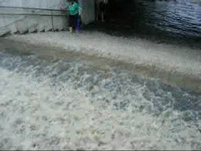 Потоп минск