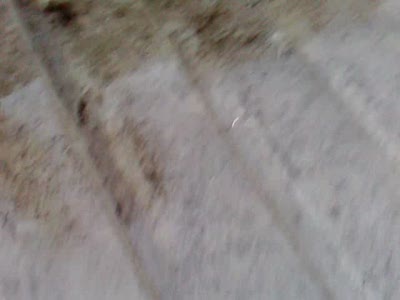 днепр арена