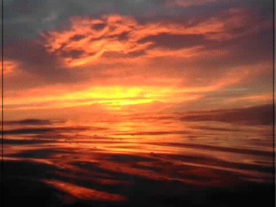 Новая Волна