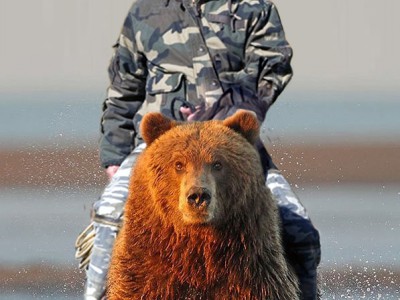 на медведе