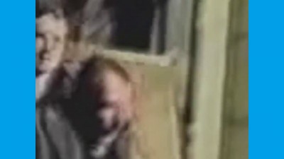 Зеленый ералаш