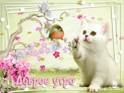 Доброе утро
