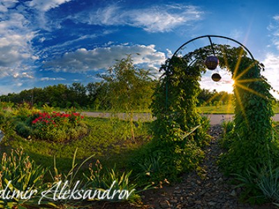 Белгородский ботанический сад БелГУ