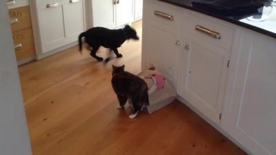 Не нарывайся, малый....