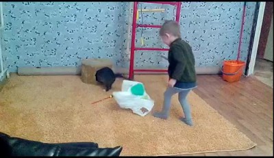 Новый гость