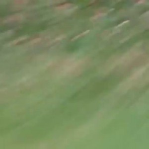 Доброе утро