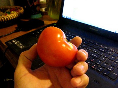 Двуцветный помидор