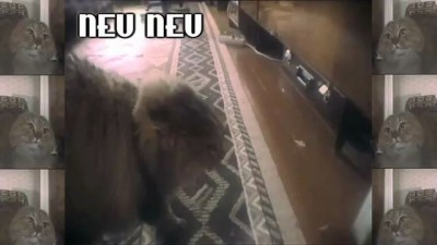 NONONONO Cat (Jake Benson Remix)