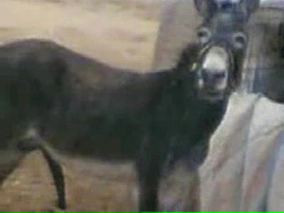 сегодня самообслуживание