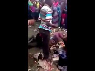 Где то в Афврике