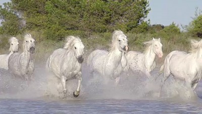 Seth Rogen & James Franco: Bound 3 HD!