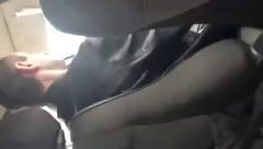 Кавказец любитель кисок