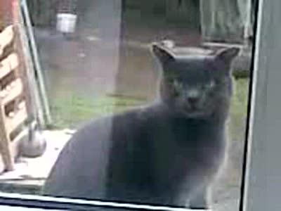 Открой, САНЯ!!!)))