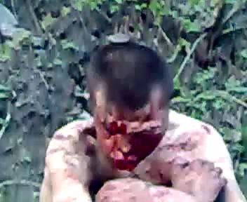 Морда в мясо