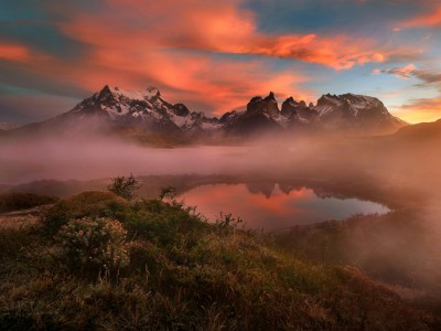 Улетают птицы !