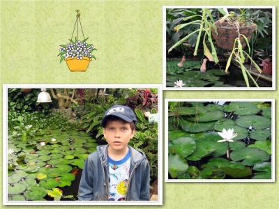 Сибирский ботанический сад