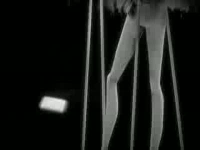 Champagne-Fuelled Jungle