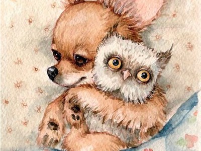 Сладких снов !!!