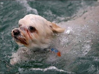 Простые герои.