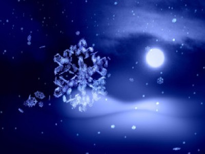 Digital Juice Christmas Tools 224 Set 001