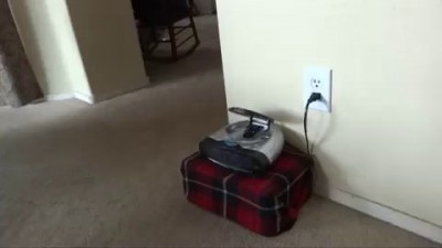 умница собачка