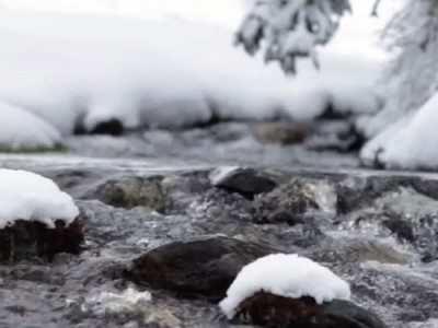 Весенняя песня с карельскими нюансами. Н.Почтовалов
