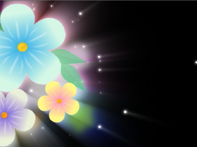 Flower Footag 001