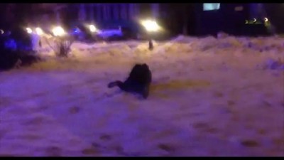 Темыч давай, Юля смотри!