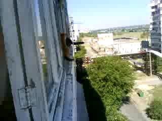 Похождения Кузи