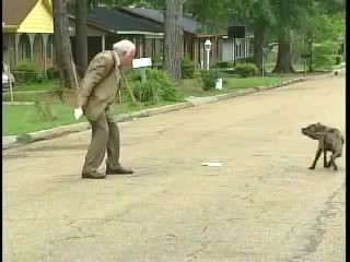 дед отбился