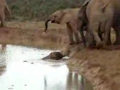 Достали всё-таки!!!