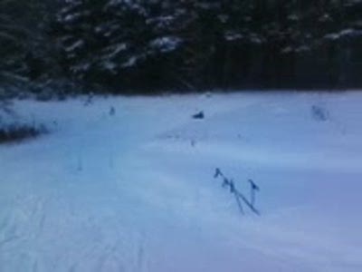 Супер лыжники