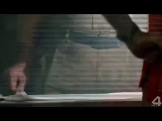 Серая шейка