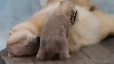 4Любимая мягкая игрушка-мама