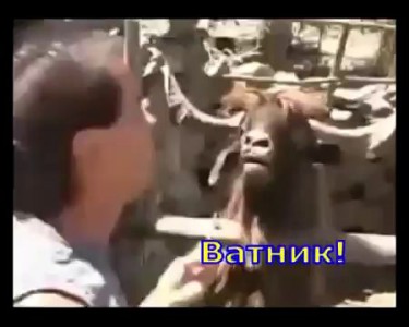 суровая правда