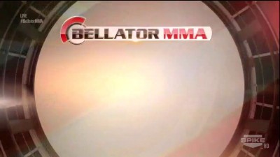 Ринг-кард-девушки демонстрируют приемы ММА