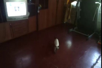 Дунькаvideo 2012 07 30 17 28 08