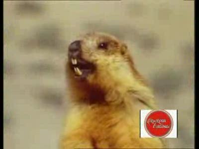 Небольшая подборка для поднятия настроения