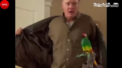 Попугай Иннокентий (внимание ! нецензурная лексика)