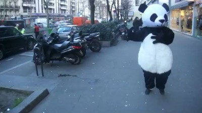 Засмотрелась на панду .