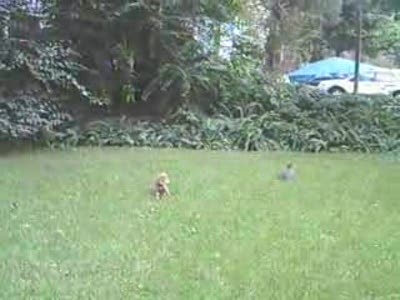 получил по морде