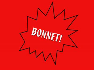 Мода для морских свинок