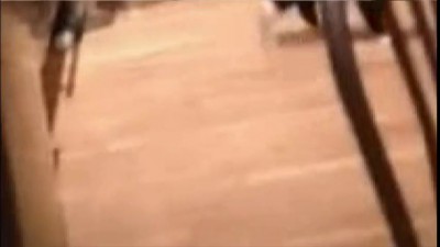 Котэ упрыгал