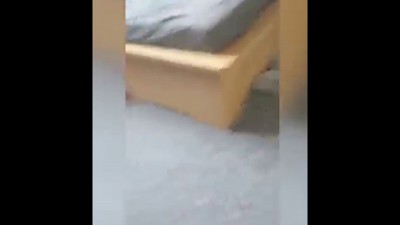 кототелепортация