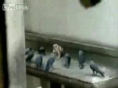 Нападение гопоты