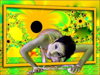 Подсолнухи