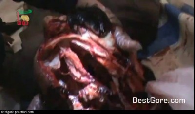 Они РЕАЛЬНО безмозглые