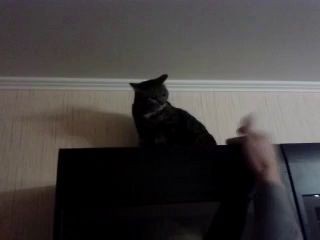 Добрая Маша