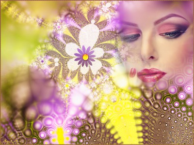 Одна ночь любви