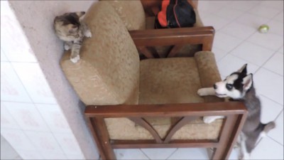 Познакомимся?